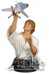 Luke Skywalker Farnboy