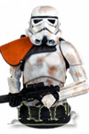 Sandtrooper Squad Leader